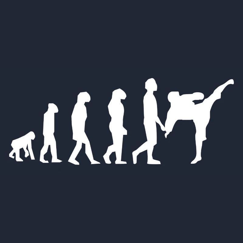Art martiaux évolution
