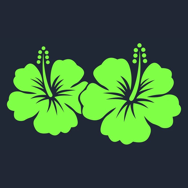 Fleur d’hibiscus