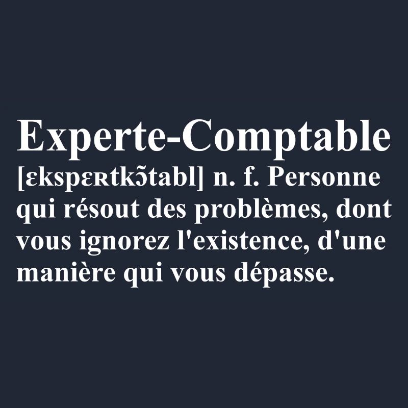 Experte-Comptable Définition