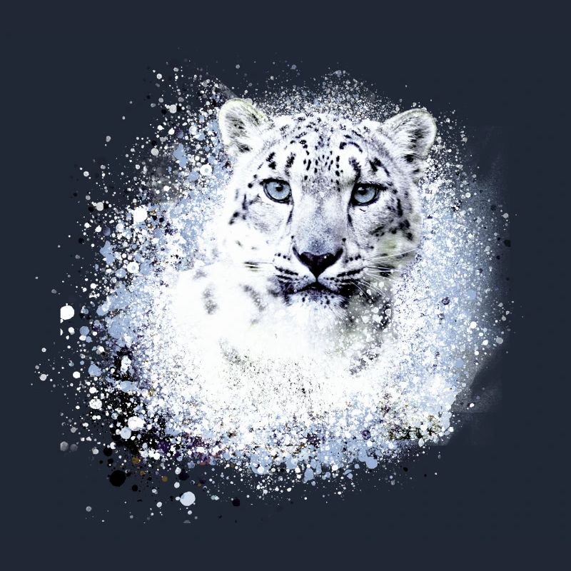 léopard de neige,chat,léopard,léopard,blanc,chat sauvage