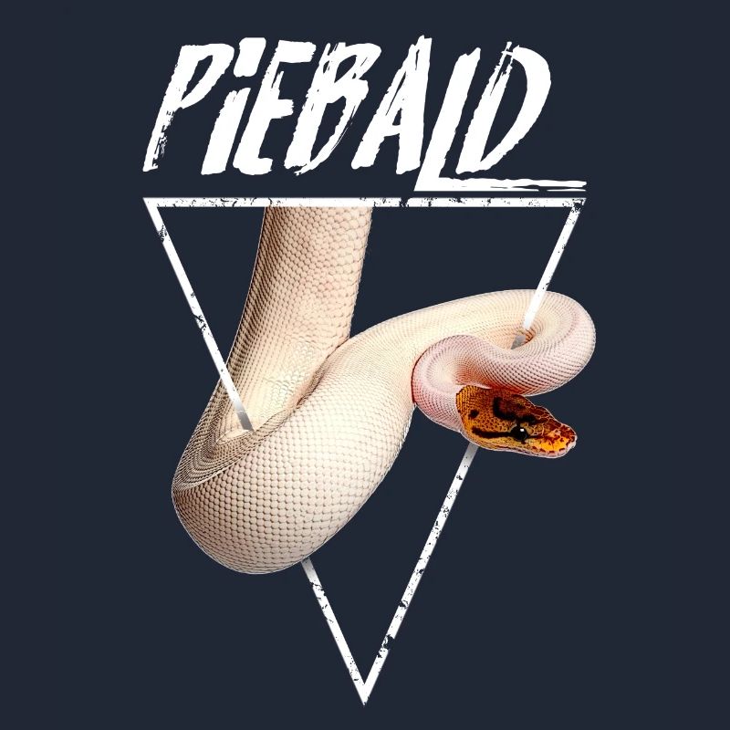 Piebald Ball Python Reptilienpfleger