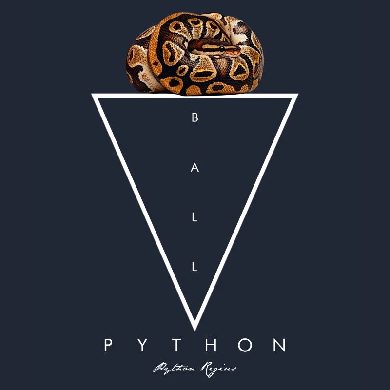 Ball Python Geometric Modern Snake Keeper