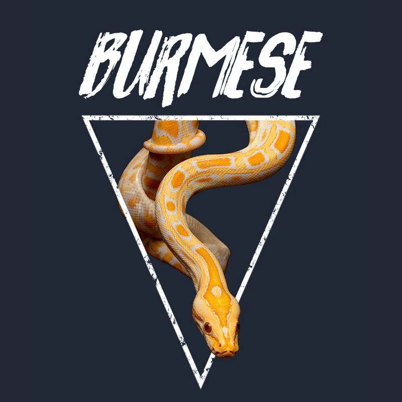 Propriétaire de serpent Python birman