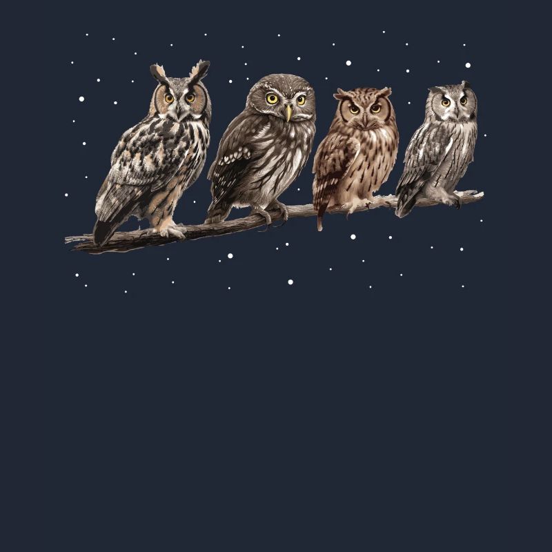 Nachteule Eule Eulen Vogel