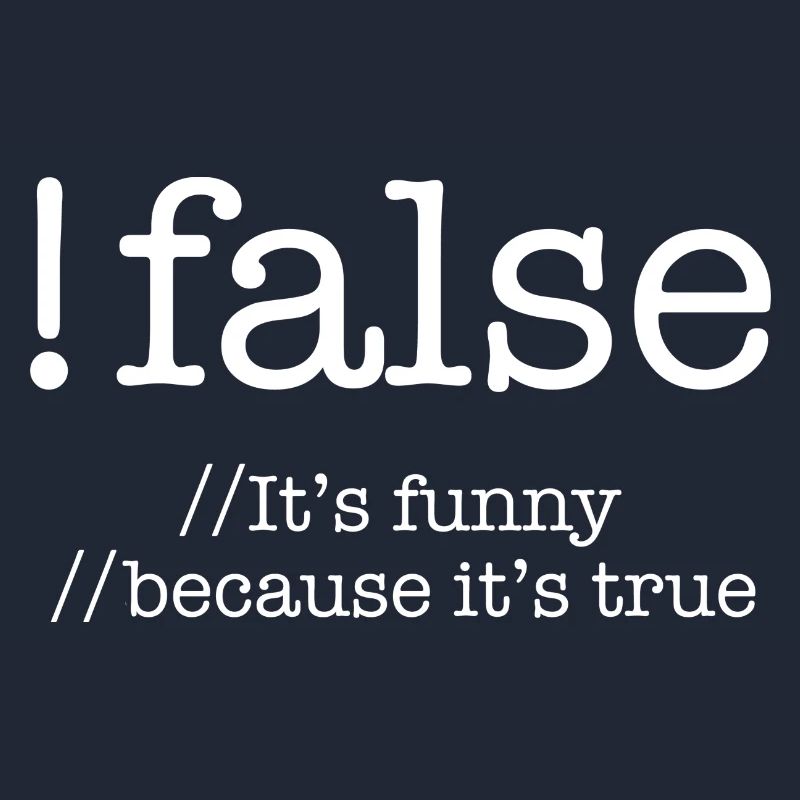 False Programming Coding Programmers Gift