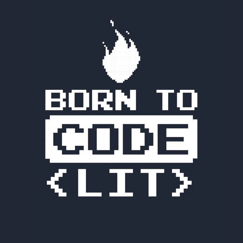 Developer Coder Programmer Funny