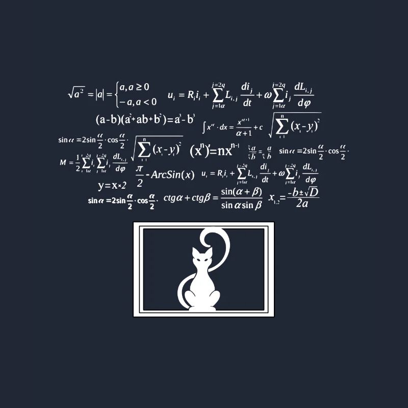 Physics Phyker Cat Quantum Physics