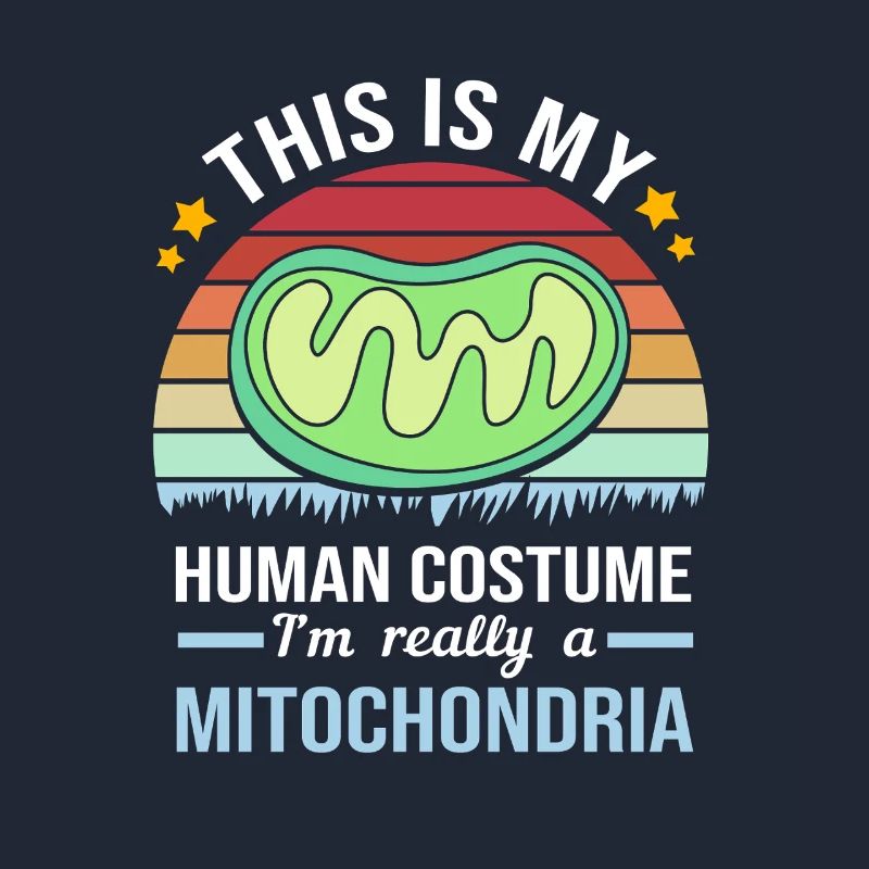 Formule structurelle de la molécule