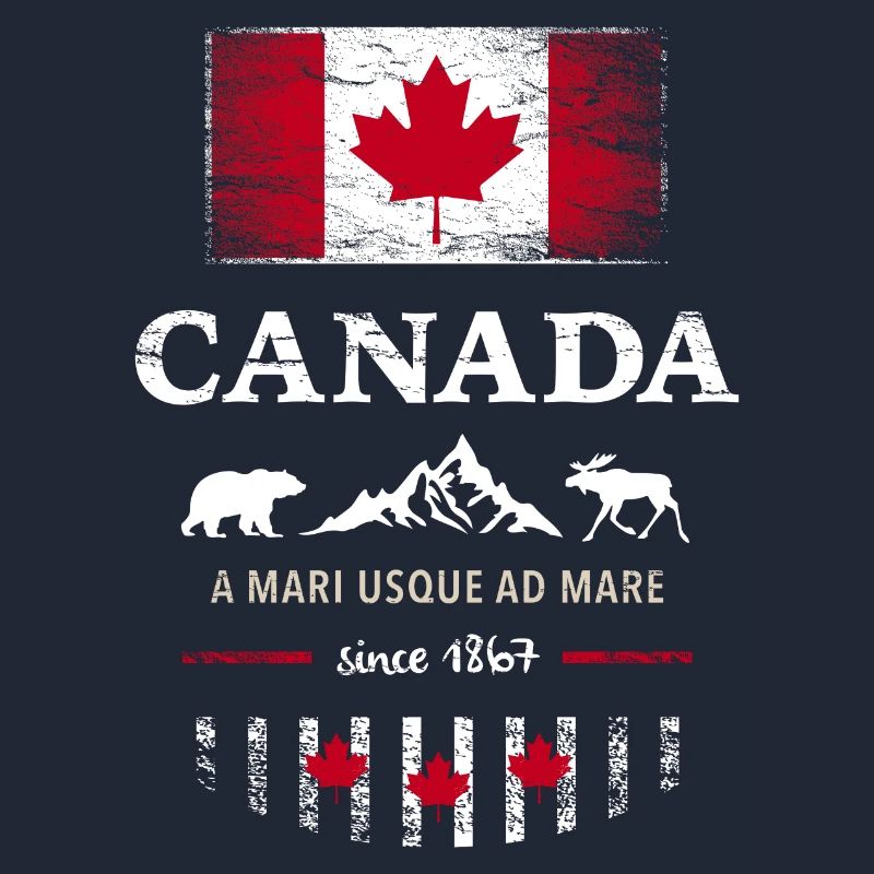 Canada Canada America maple leaf flag flag