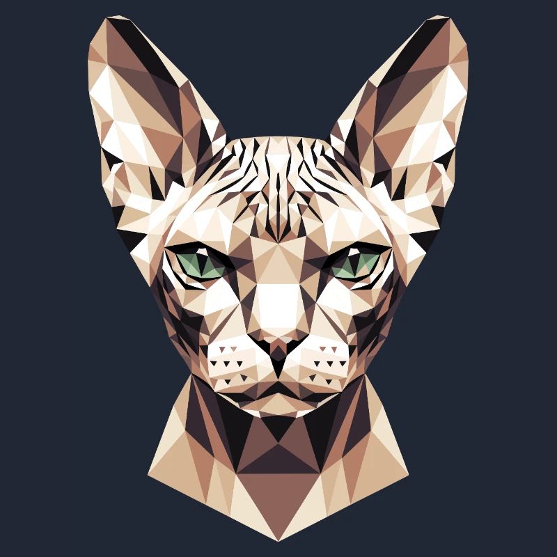 Sphynx Chat Sphynx Chat Chat Canadien Sphinx mignon