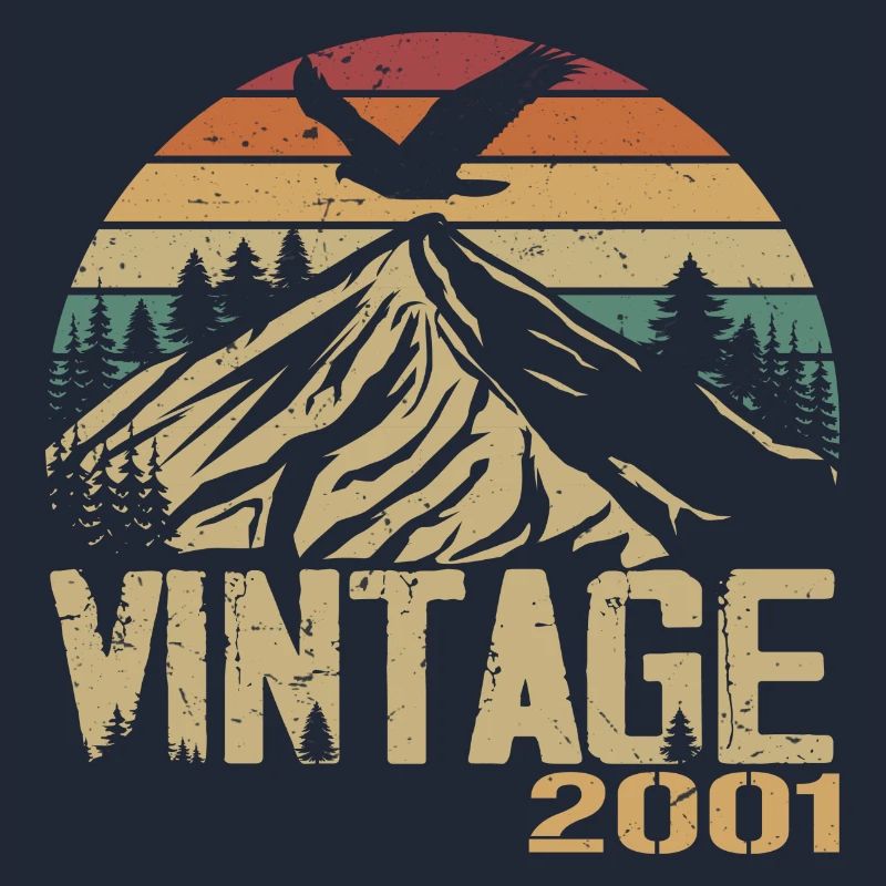 Vintage 2001 Cadeau Anniversaire 2001 Retro 2001