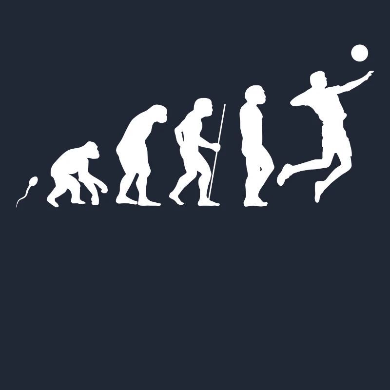 Evolution Volley-ball 8