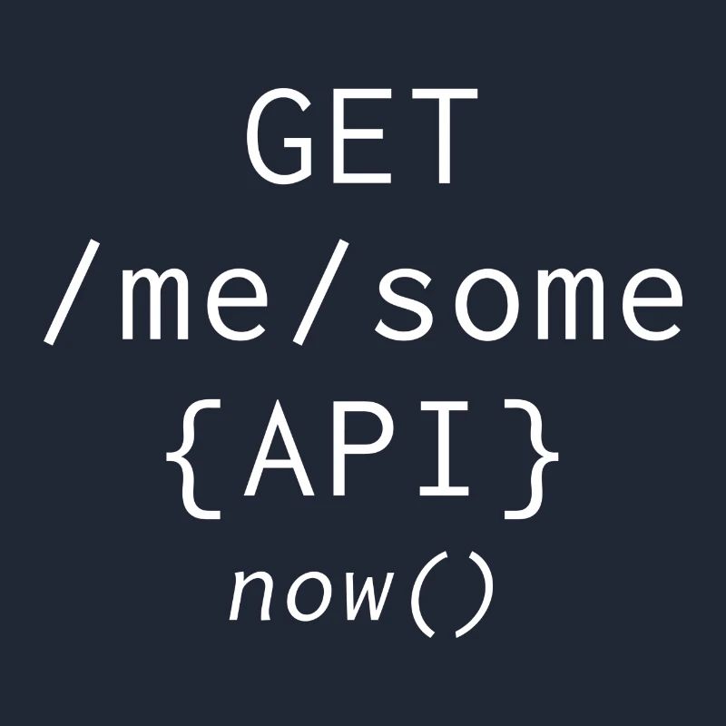 Api Programming Informatic Geschenk Spruch