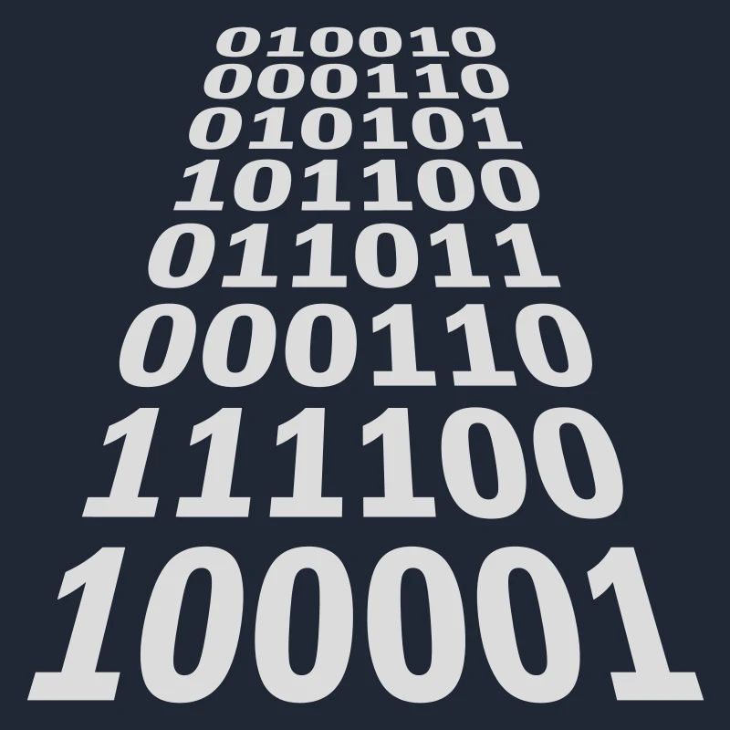 Binary Code Program Language