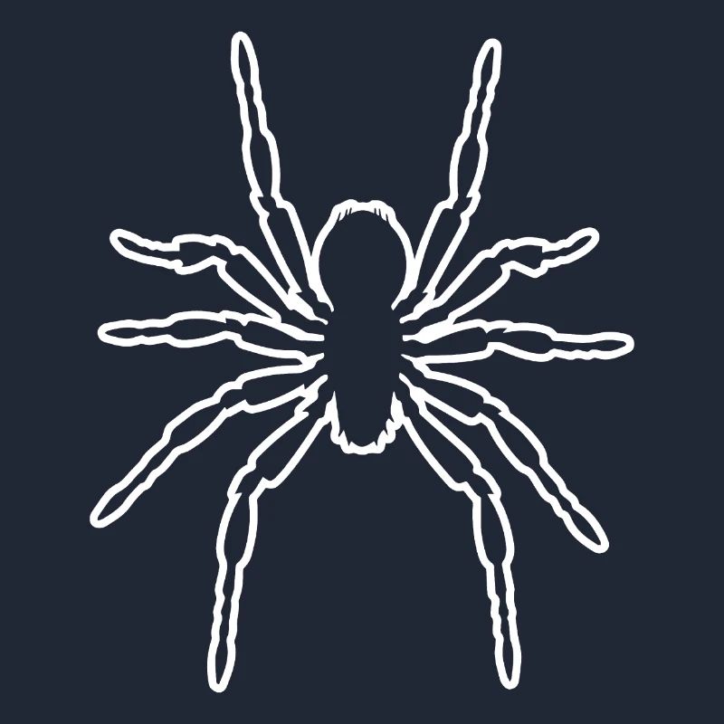 Araignée araignées animaux