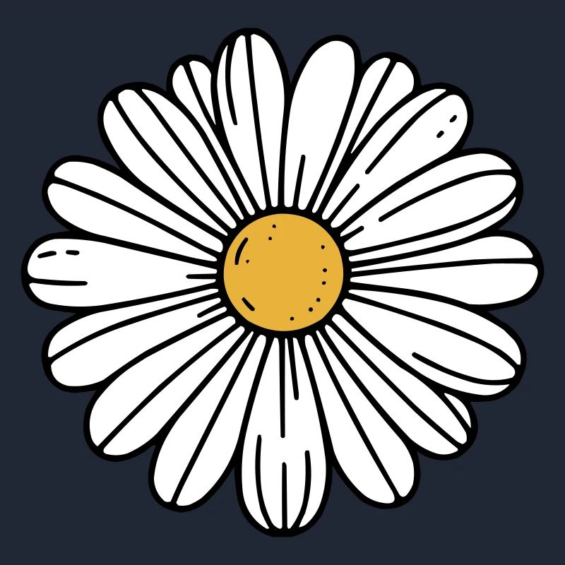 Gänseblümchen