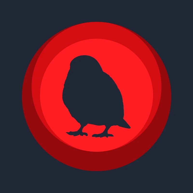 Oiseaux Perruche Oiseaux