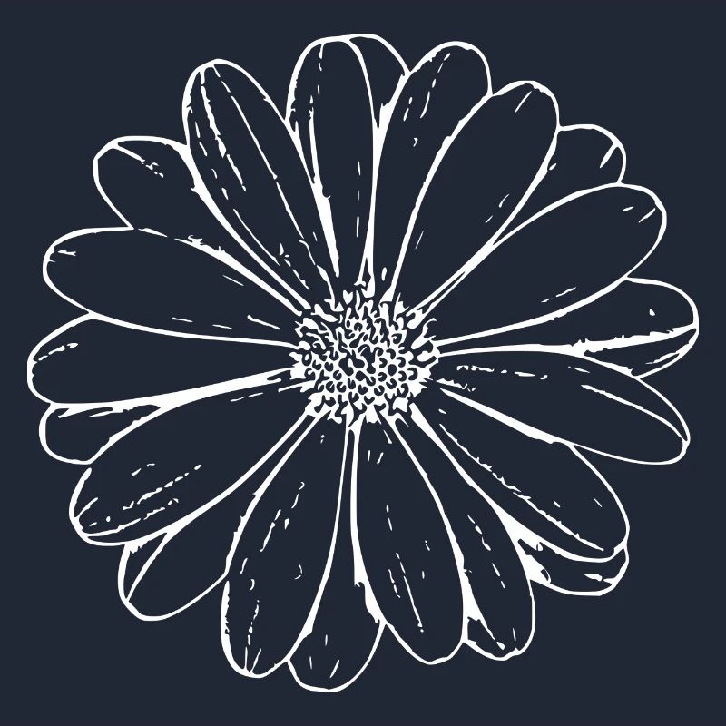 Fleur Blanche Fleurs Blanches Fleurs Blanches Fleurs Blanches