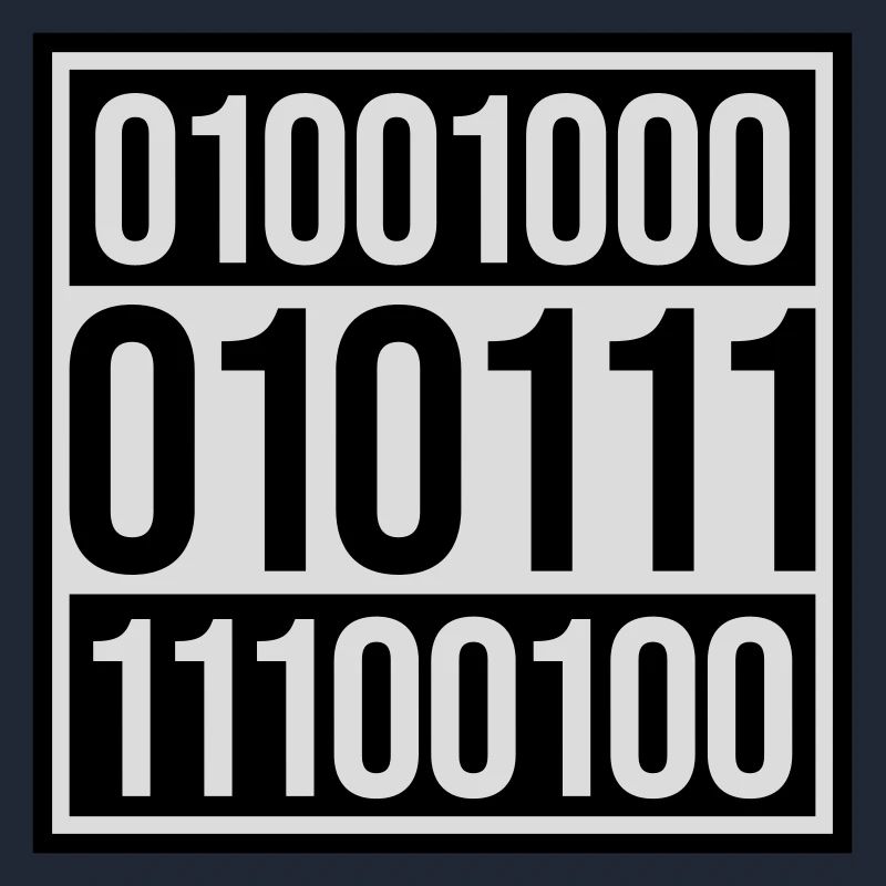 Binary Code Program Language