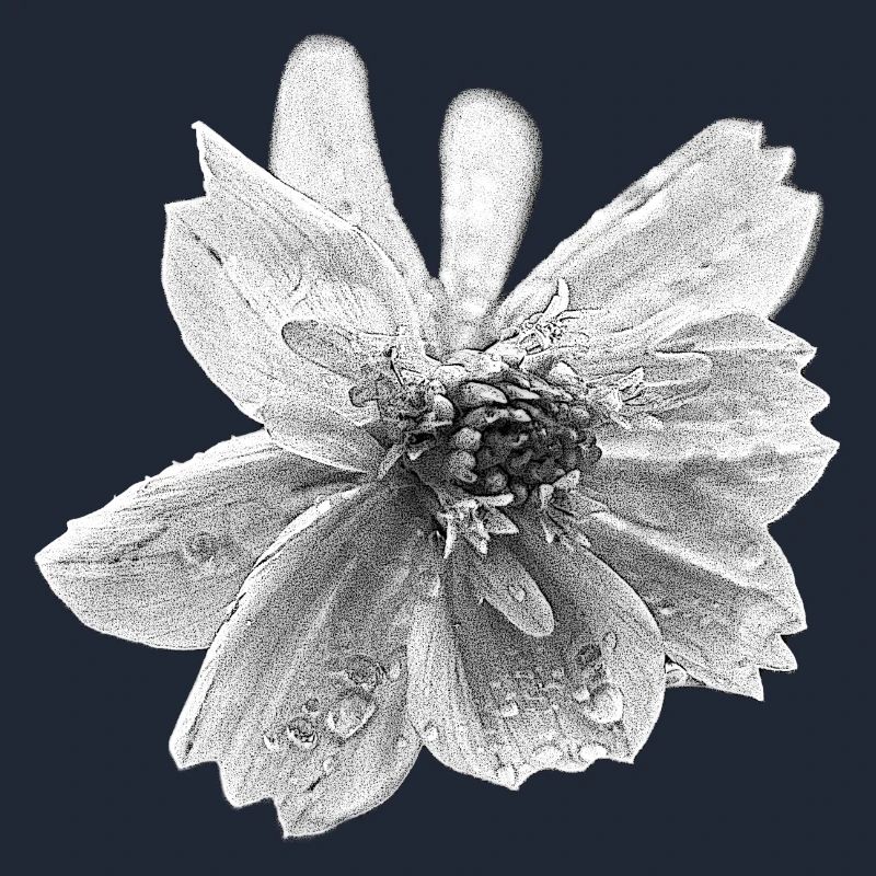 fleur