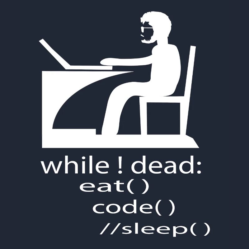 Softwareentwickler Programmierer Geschenk