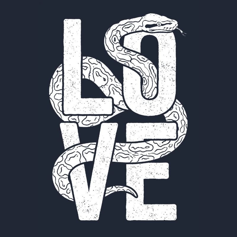 King Python Snakes LOVE Terrarium Python