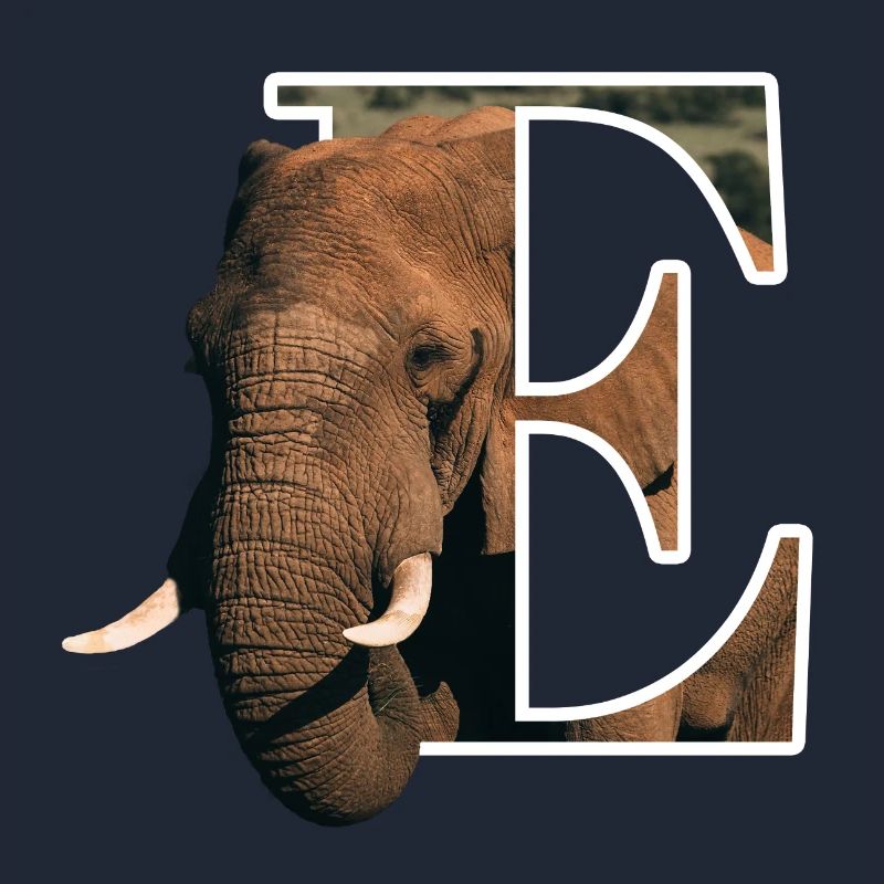E Elephant alphabet animaux
