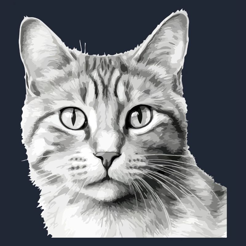 Bli le chat