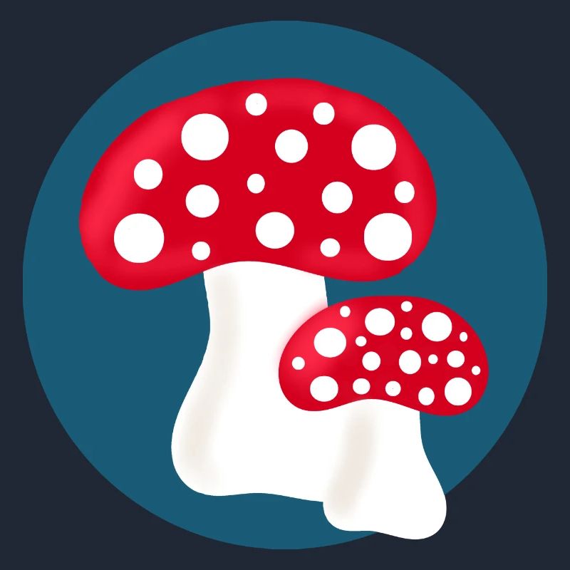 Toadstool, mushroom in the woods gift