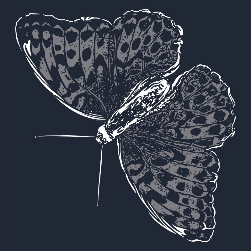 Aile de papillon Papillon Papillon