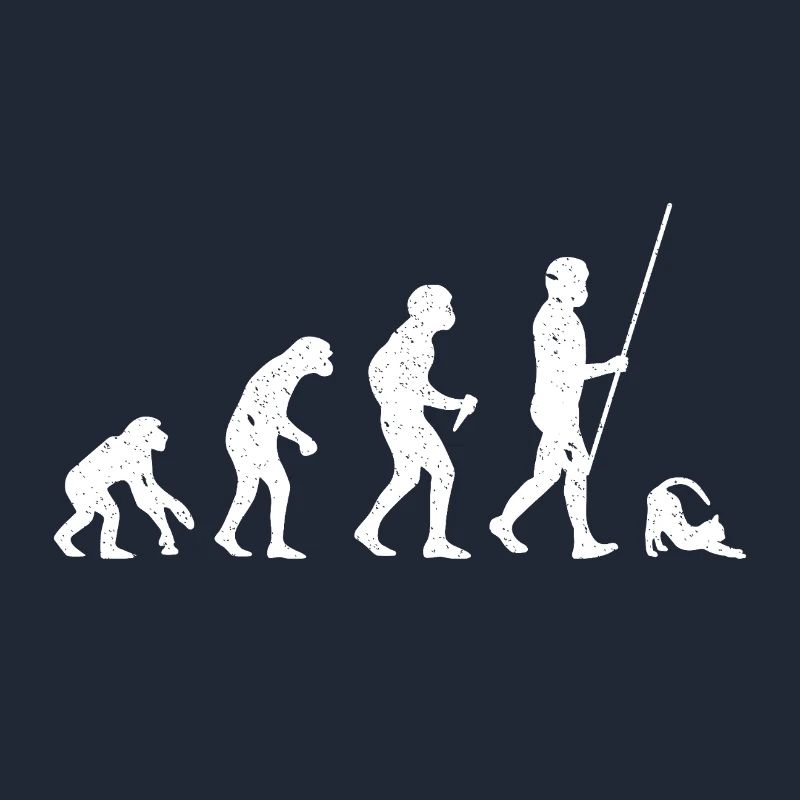 Évolution du chat