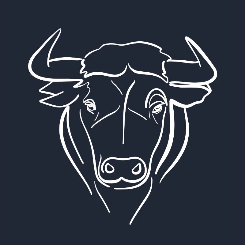 Bull line drawing over white