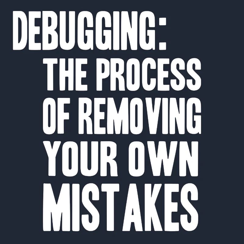 debugging process