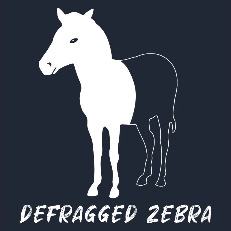 Defragged Zebra Admin Geek Programmierer Geschenk