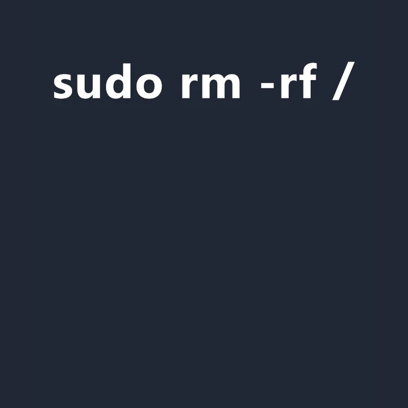 Linux Admin Programmer sudo rm rf /