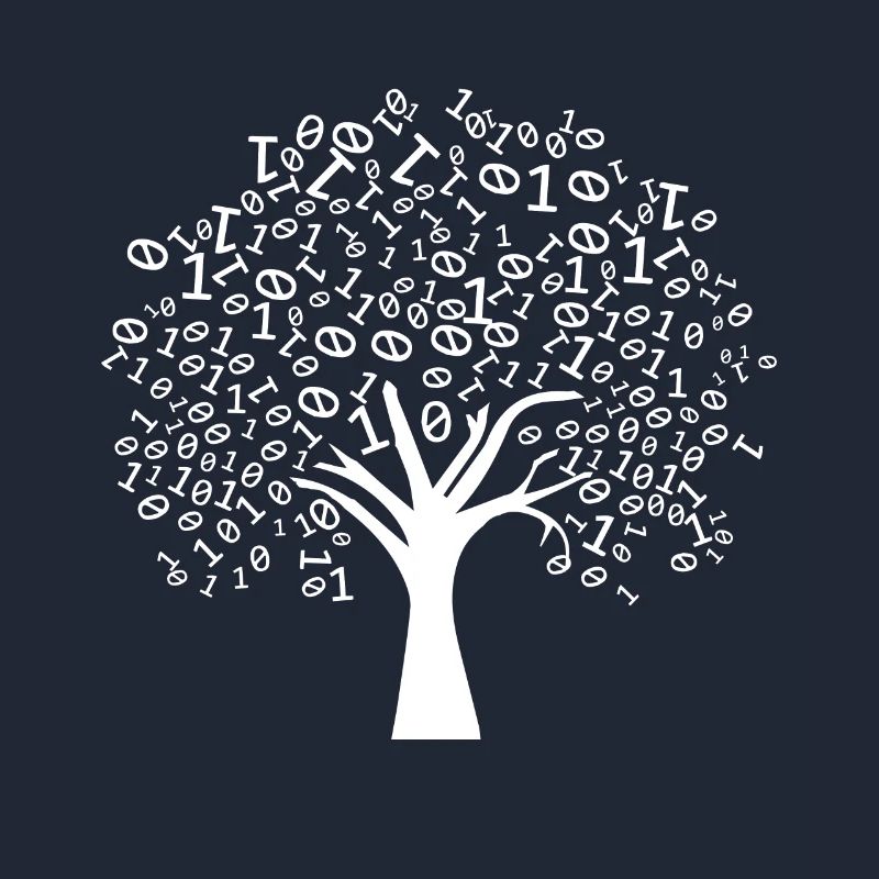 Programmierer Binärer Baum