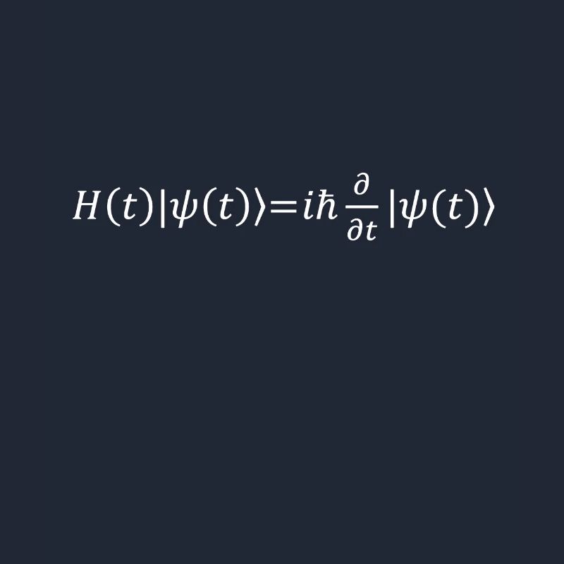 Schrödinger Equation Physicist Gift Physics