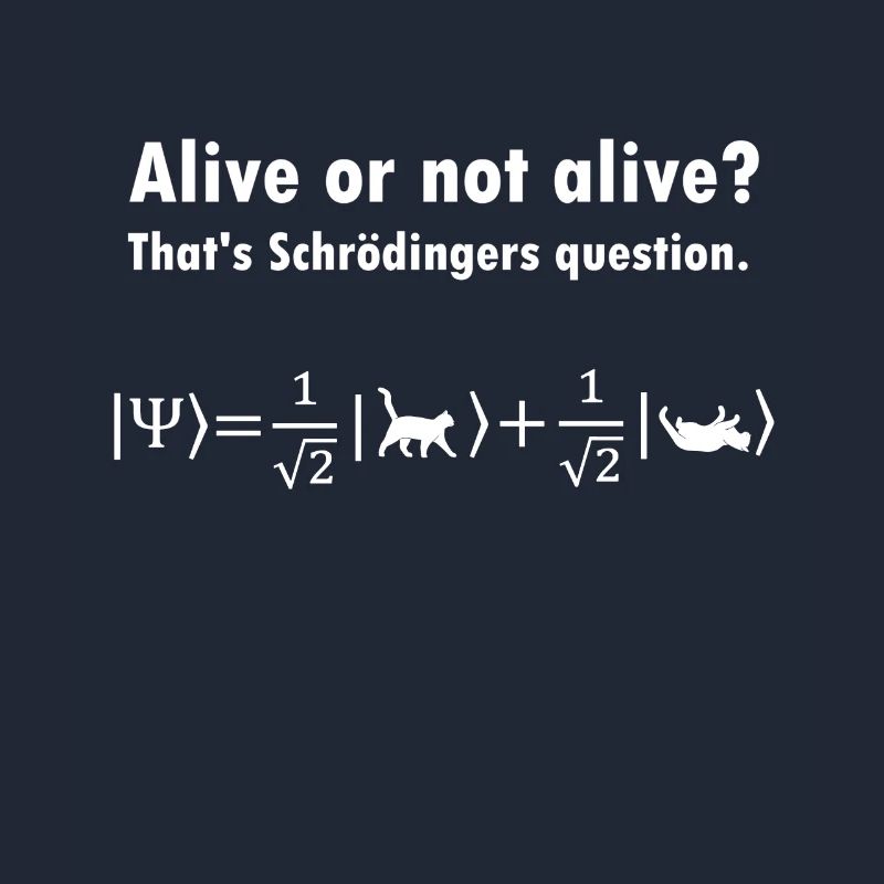 Schrödinger's Cat - Physicist Gift Physics Nerd