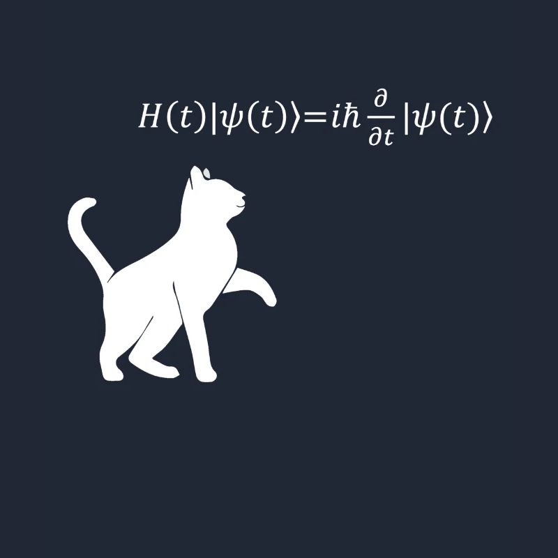 Schrödingers Katze - Physiker Geschenk Physik Nerd