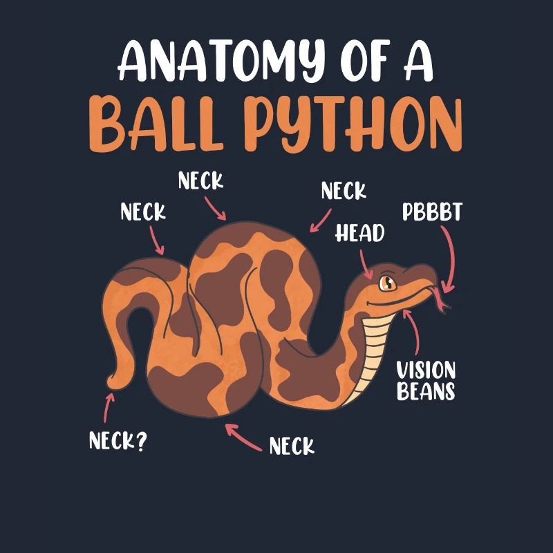 Snake Anotomy of a King Python Ball Python