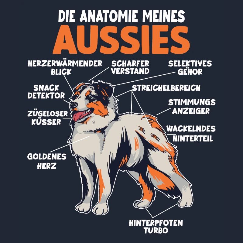 Australian Shepherd Aussie Anatomie Aussie