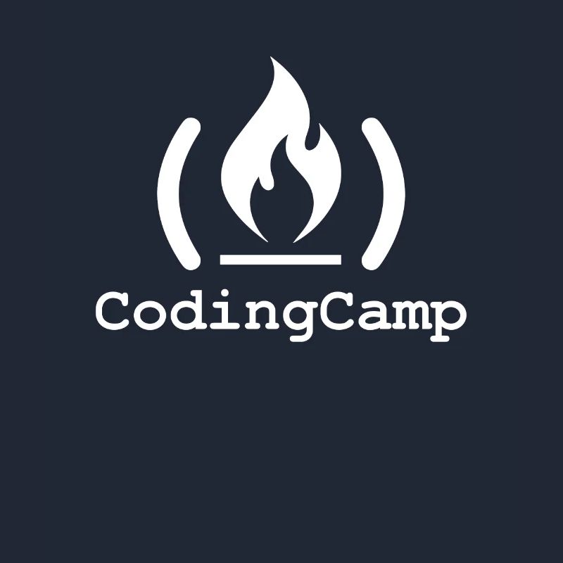 Programmeur Coder Développeur de logiciels