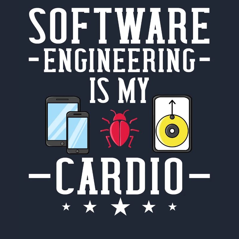 Software Engineering Software Engineering Engineer