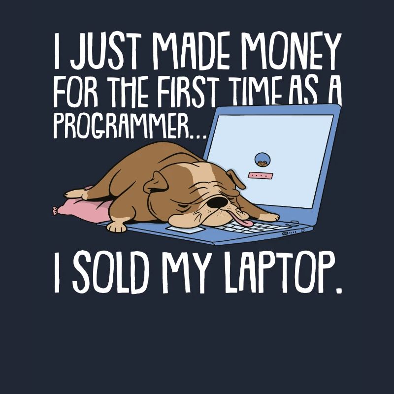 Programmierer Coder Software Entwickler