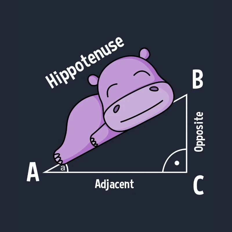 Math teacher Hipotenuse Math