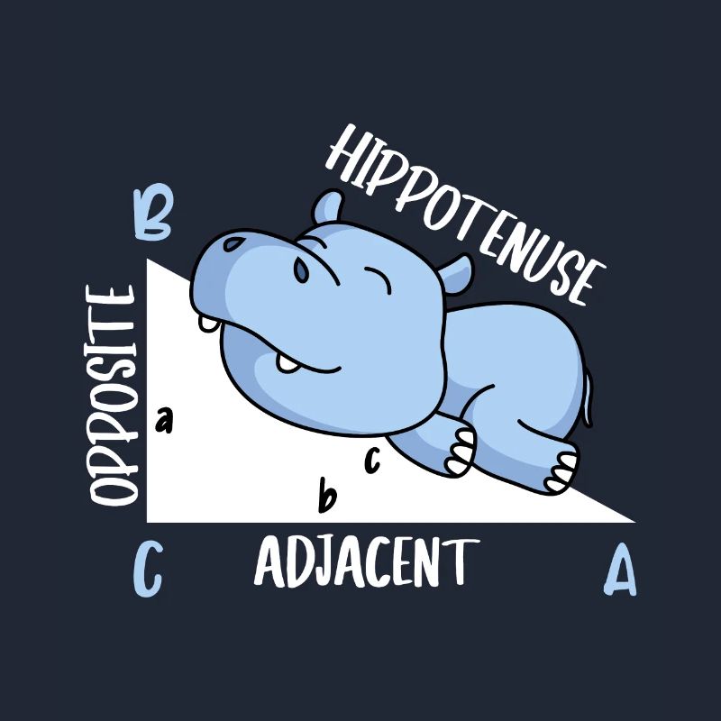 Hippotenuse Math Teacher Fun Math