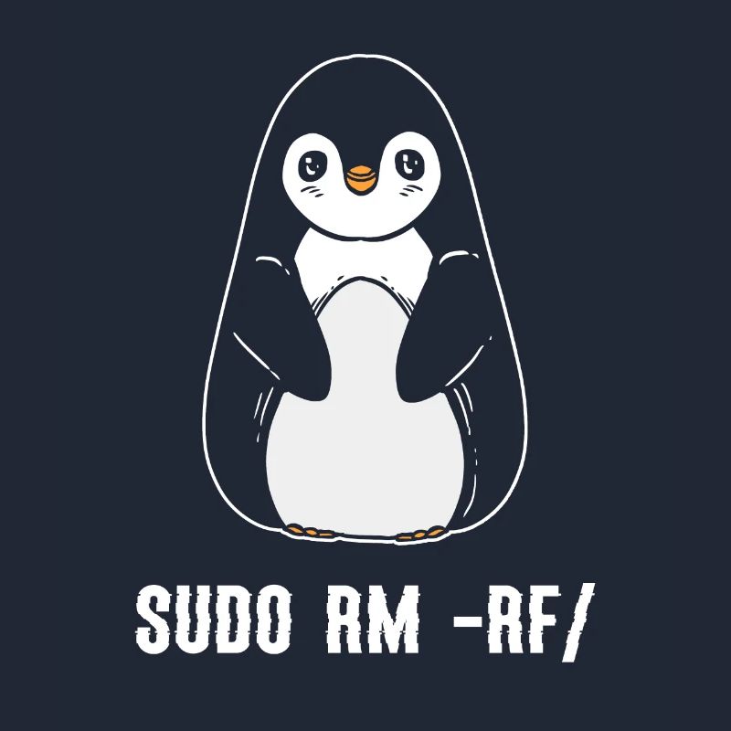 sudo rm rf / Linux Computer Programmer