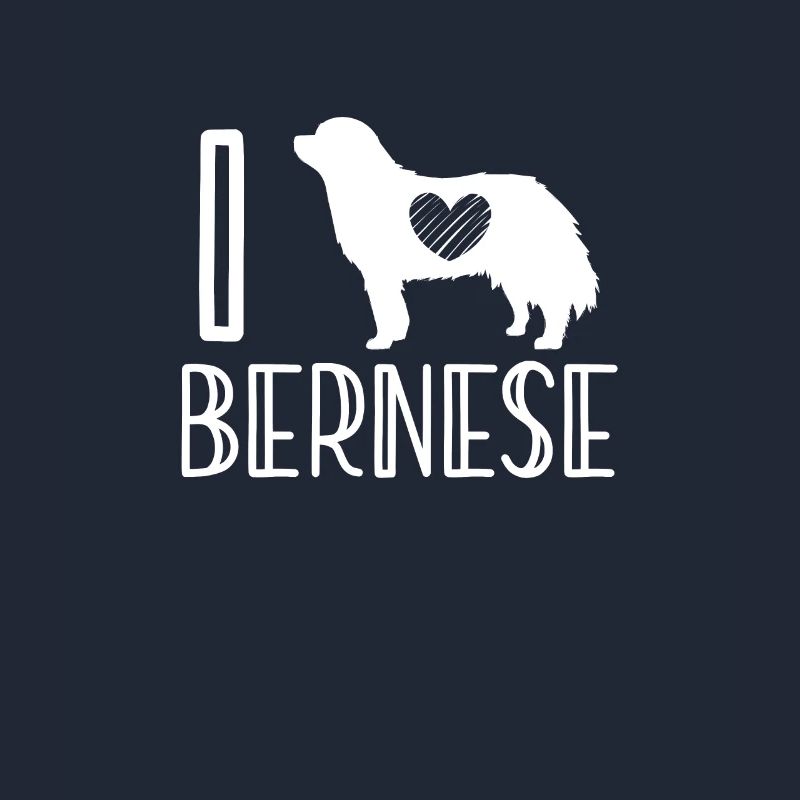 Bouvier bernois