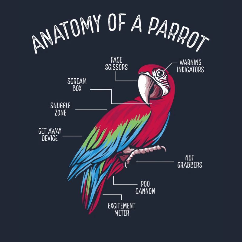 Anatomie d’un perroquet
