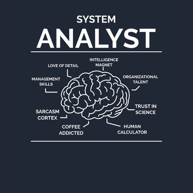 Systems analyst
